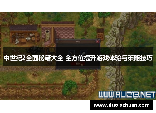 中世纪2全面秘籍大全 全方位提升游戏体验与策略技巧